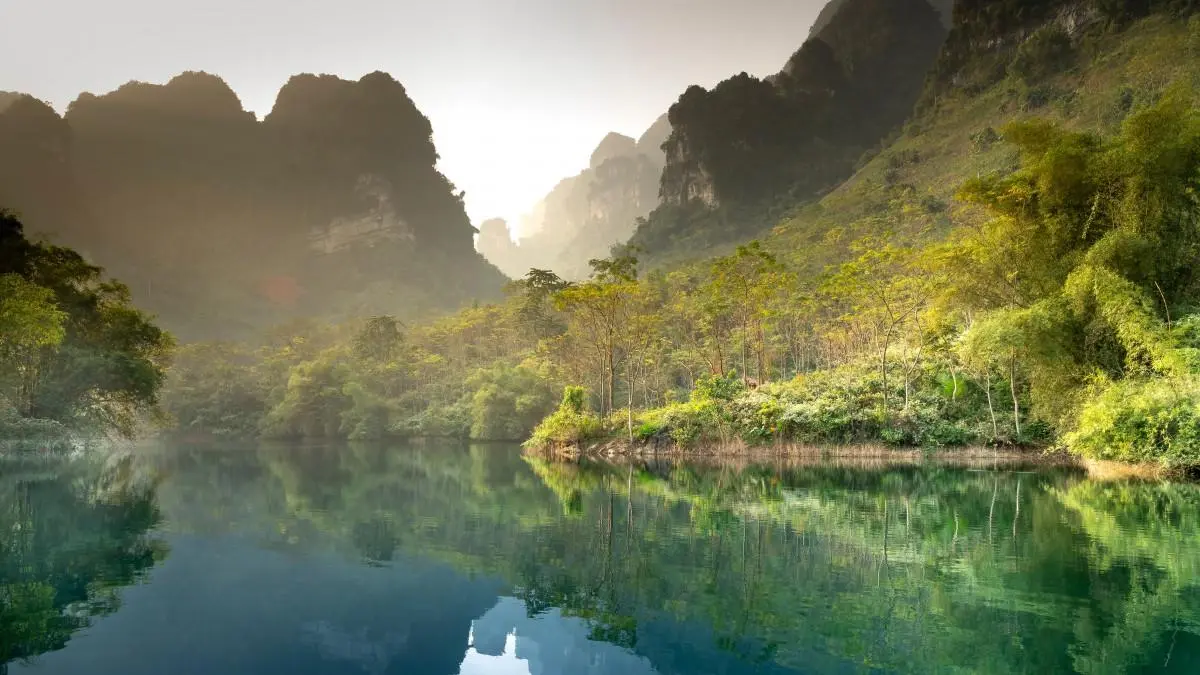 绿色可靠性数字化
